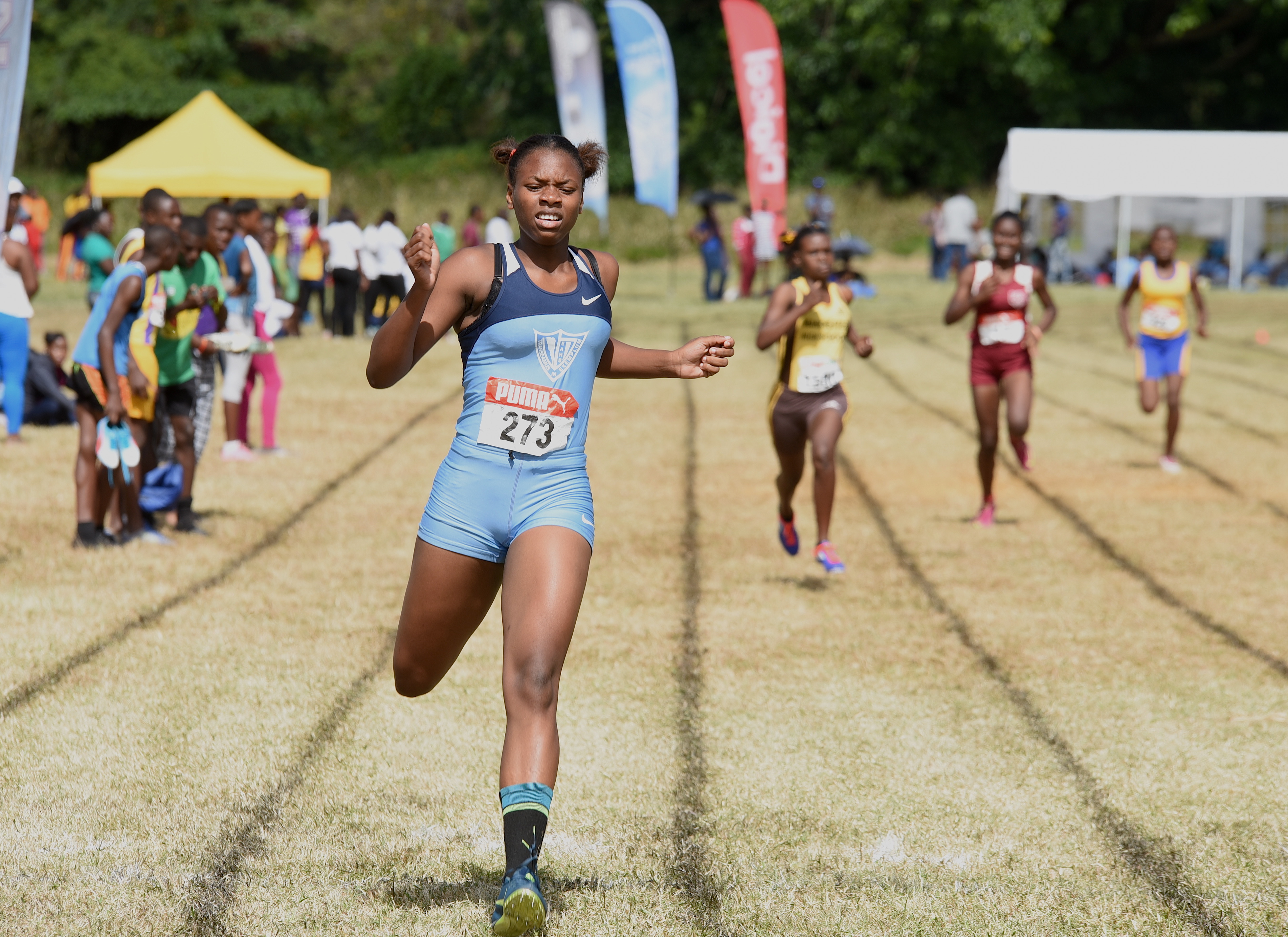 Results | STETHS Invitational | January 2020