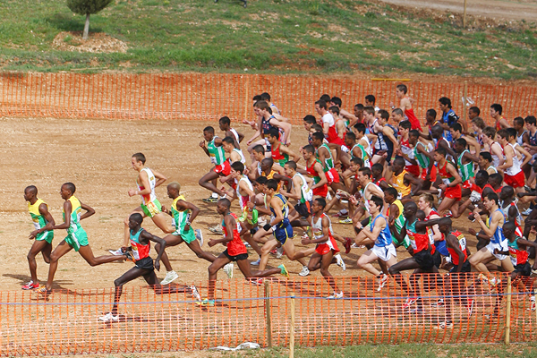 Countdown continues for cross country’s return to Olympic competition