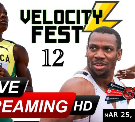 Watch the Velocity Fest 12 Live Stream